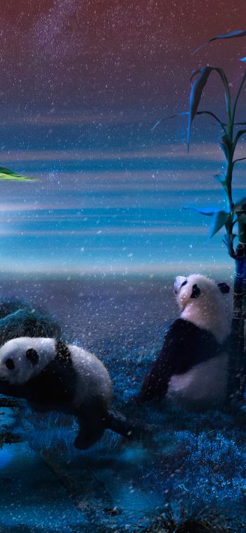 panda, blue, snow Wallpaper 1284x2778