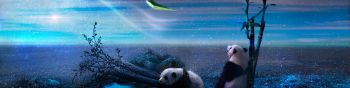 panda, blue, snow Wallpaper 1590x400