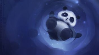panda cub, blue Wallpaper 1600x900