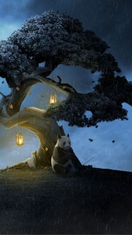 panda, night, moon Wallpaper 640x1136