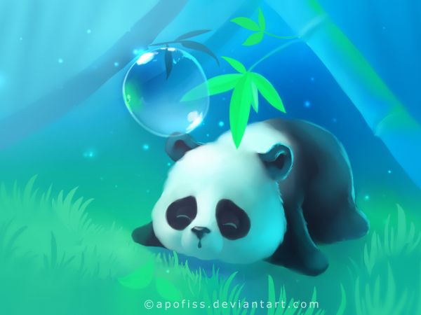 panda cub, bear Wallpaper 1024x768