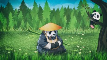 panda, bear, green Wallpaper 1600x900