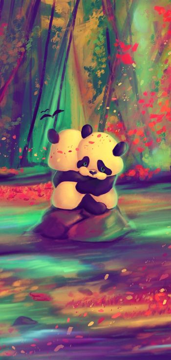 panda cub, bear Wallpaper 720x1520