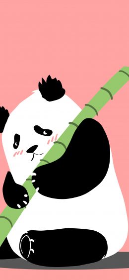 panda, bear, pink Wallpaper 1080x2340