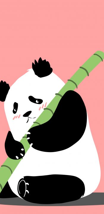 panda, bear, pink Wallpaper 1440x2960