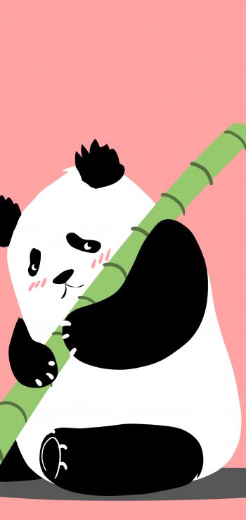 panda, bear, pink Wallpaper 1080x2280