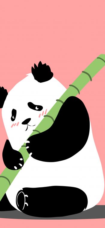 panda, bear, pink Wallpaper 1080x2340