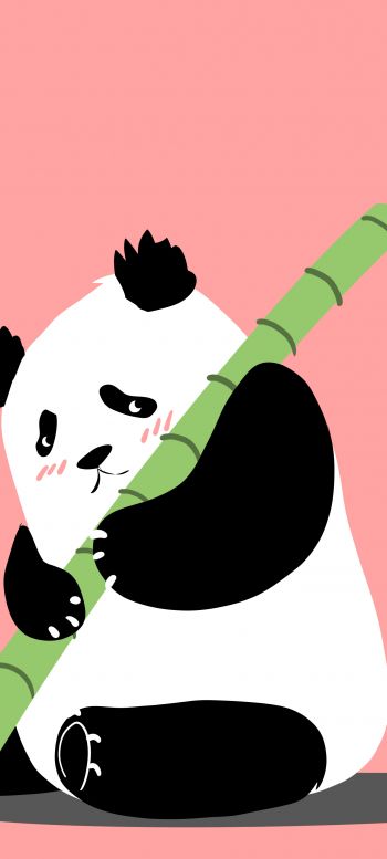 panda, bear, pink Wallpaper 720x1600