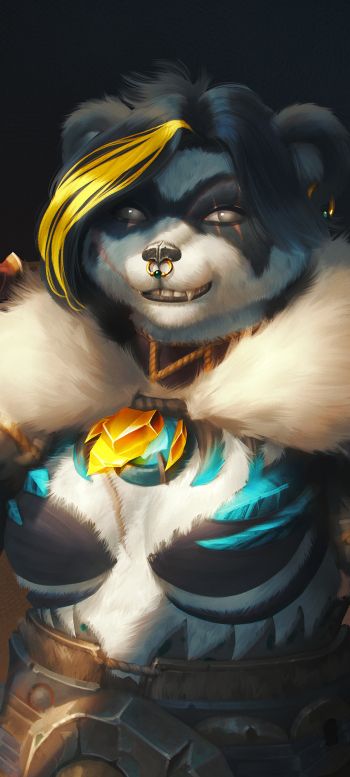 panda, bear, pandaren Wallpaper 720x1600