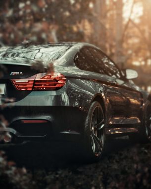 BMW M4, sports car Wallpaper 789x986