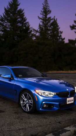 BMW, sports car, blue Wallpaper 640x1136