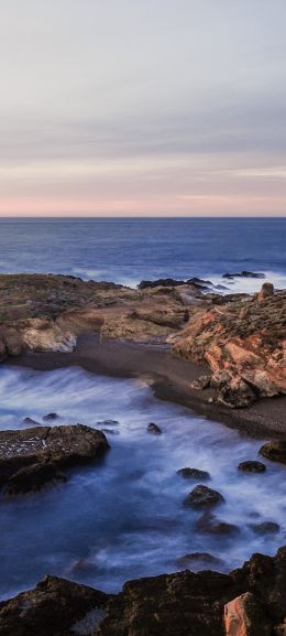 Point Lobos, sea, shore Wallpaper 1440x3200