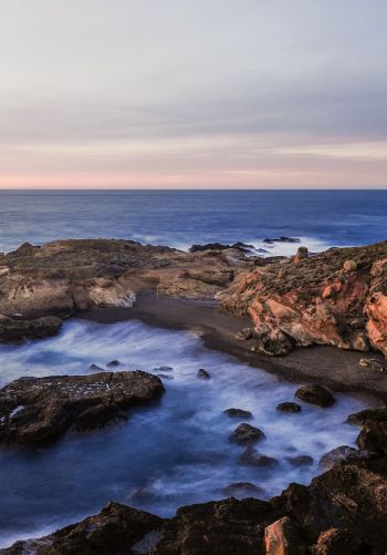 Point Lobos, sea, shore Wallpaper 1668x2388