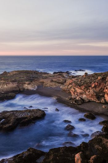 Point Lobos, sea, shore Wallpaper 640x960