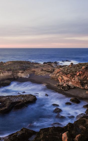 Point Lobos, sea, shore Wallpaper 1200x1920