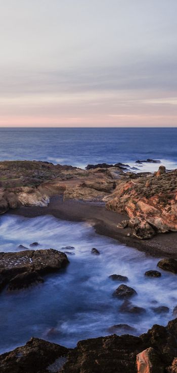 Point Lobos, sea, shore Wallpaper 1080x2280