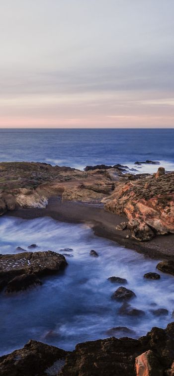 Point Lobos, sea, shore Wallpaper 828x1792