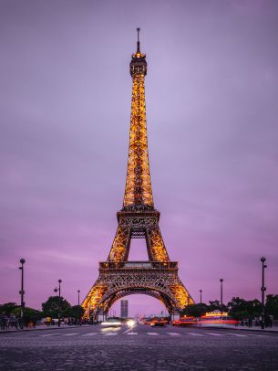 Eiffel Tower, Paris, France Wallpaper 1620x2160