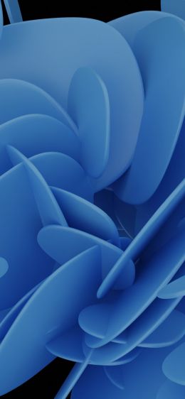 abstraction, blue, 3D Wallpaper 828x1792