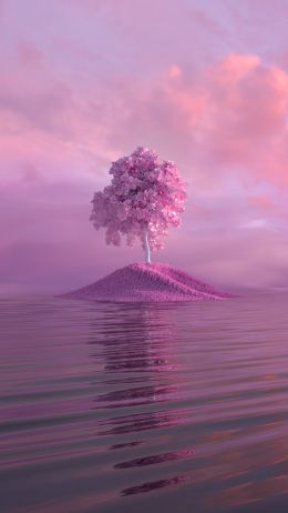 tree, pink Wallpaper 1440x2560