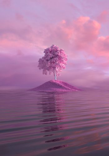 tree, pink Wallpaper 1640x2360