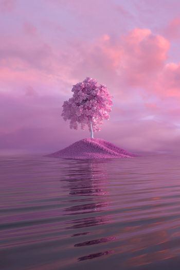 tree, pink Wallpaper 640x960