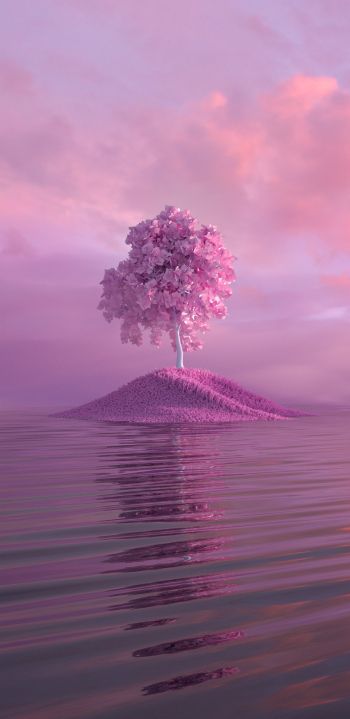 Обои 1080x2220 дерево, розовый