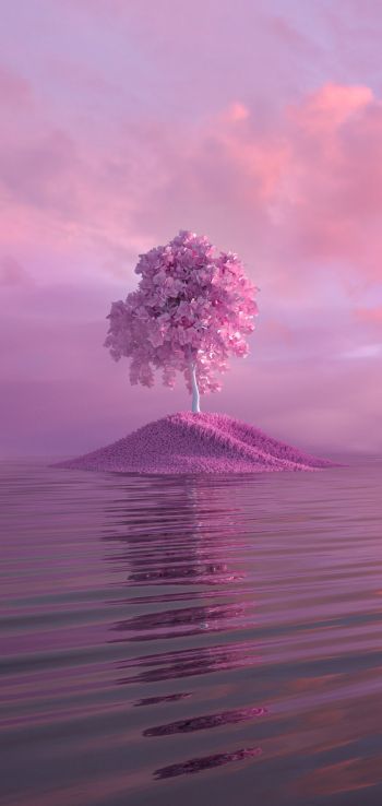 Обои 1080x2280 дерево, розовый