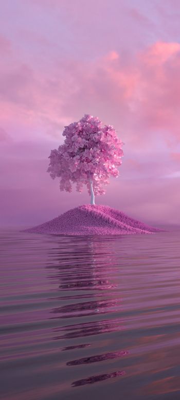 tree, pink Wallpaper 720x1600