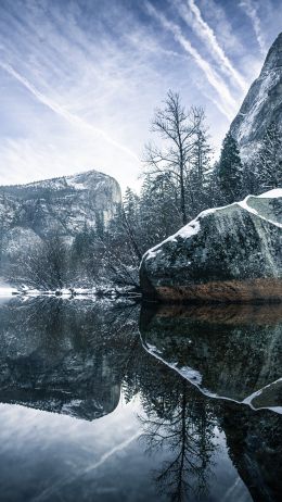 winter, reflection, gray Wallpaper 1080x1920