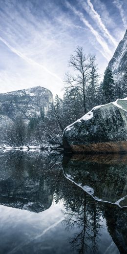 winter, reflection, gray Wallpaper 720x1440