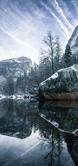 winter, reflection, gray Wallpaper 720x1520