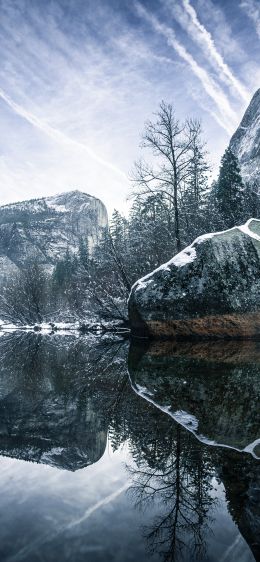 winter, reflection, gray Wallpaper 828x1792
