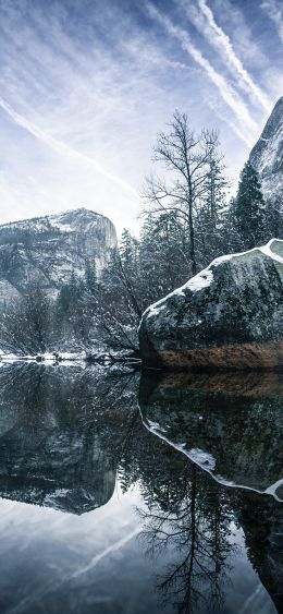 winter, reflection, gray Wallpaper 1080x2340