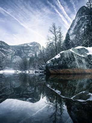 winter, reflection, gray Wallpaper 1668x2224
