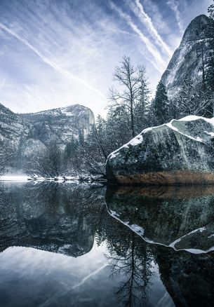 winter, reflection, gray Wallpaper 1640x2360