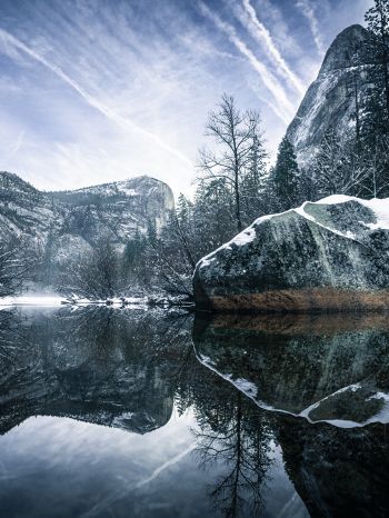 winter, reflection, gray Wallpaper 1668x2224