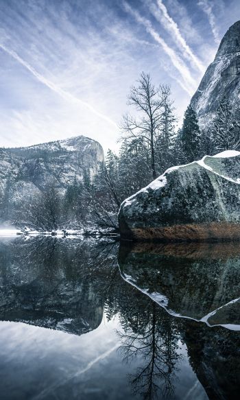 winter, reflection, gray Wallpaper 1200x2000