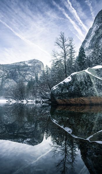 winter, reflection, gray Wallpaper 600x1024