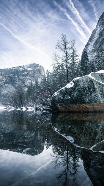 winter, reflection, gray Wallpaper 640x1136