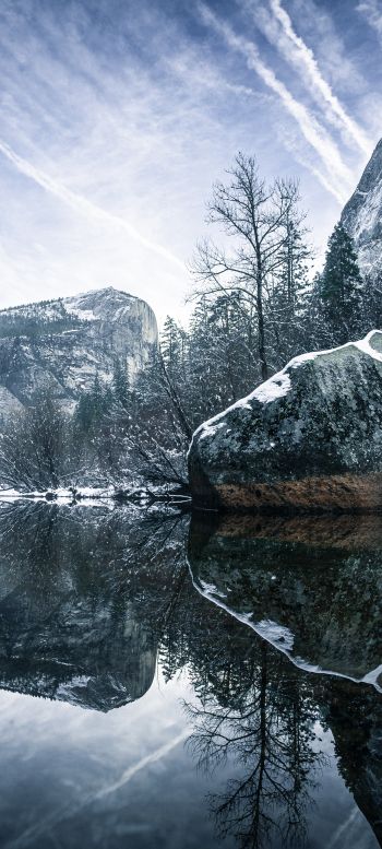 winter, reflection, gray Wallpaper 1080x2400