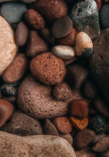 stones, background, brown Wallpaper 1668x2388