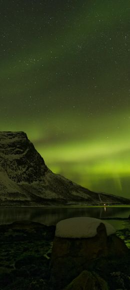 northern lights, night, green Wallpaper 1440x3200