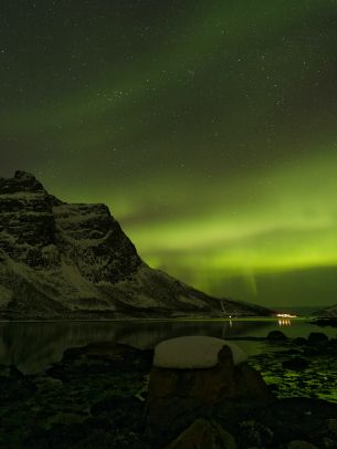 northern lights, night, green Wallpaper 2048x2732