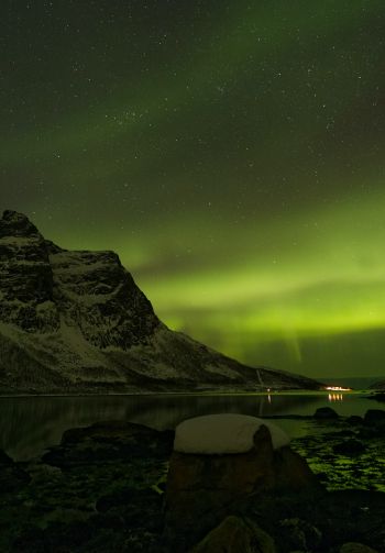 northern lights, night, green Wallpaper 1640x2360