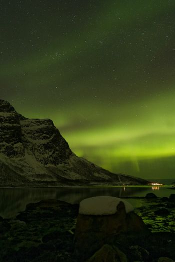 northern lights, night, green Wallpaper 640x960