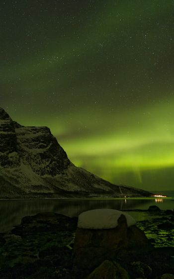 northern lights, night, green Wallpaper 1752x2800