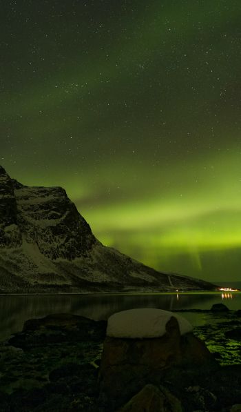 northern lights, night, green Wallpaper 600x1024