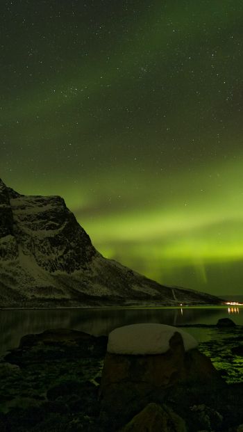 northern lights, night, green Wallpaper 640x1136