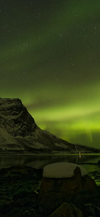 northern lights, night, green Wallpaper 1242x2688